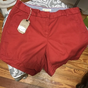 NWT Jach’s Girlfriend‎ Red Shorts 8